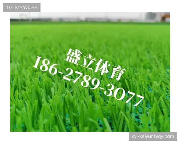 人工草场的足球规则有哪些区别？详细拆解关键判罚标准